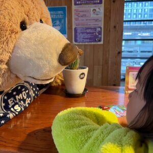 一生独身メリット