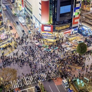 地方東京違い婚活結婚相談所