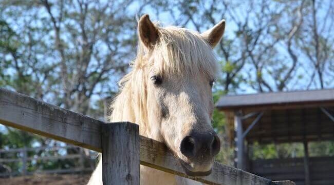 伊豆デートスポット