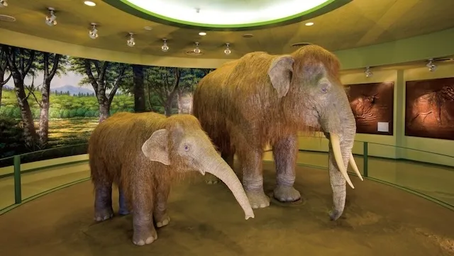 倉敷市の人気デートスポット！カップルにおすすめの定番&穴場