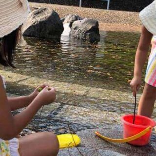 ときめき婚活