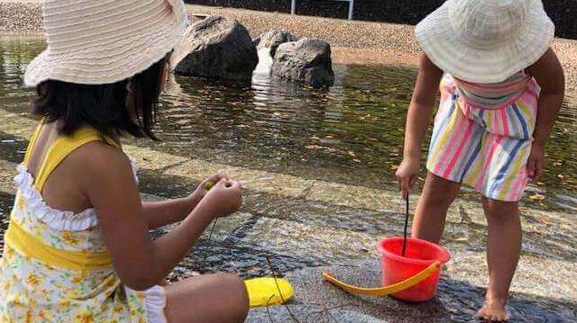 ときめき婚活