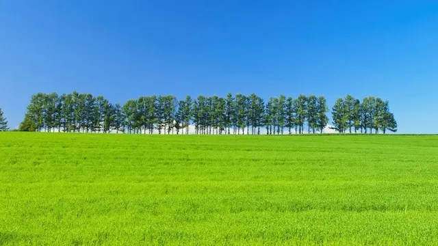 旭川デートスポット
