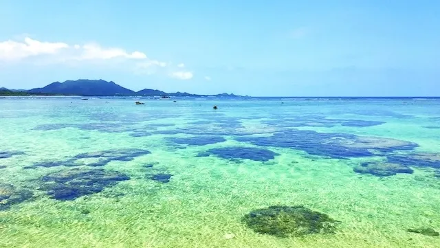 沖縄デートで行きたいビーチ47選!カップルにおすすめの海水浴場をエリア別に解説