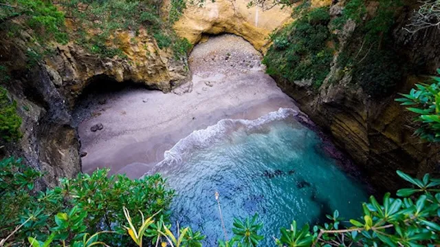 伊豆地方の人気デートスポット15選！カップルにおすすめの定番&穴場