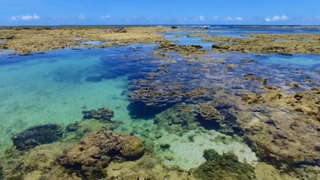 沖縄デートで行きたいビーチ47選!カップルにおすすめの海水浴場をエリア別に解説