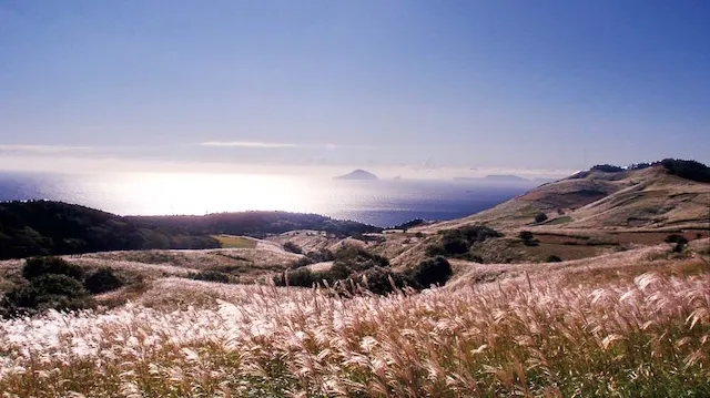 伊豆地方の人気デートスポット15選！カップルにおすすめの定番&穴場