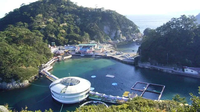 伊豆地方でおすすめのアウトドアデート14選!カップルにおすすめの旅行