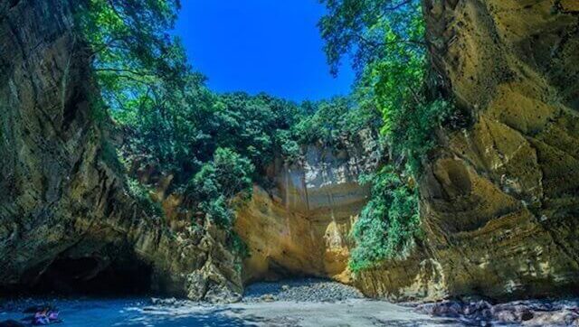 伊豆婚活結婚相談所