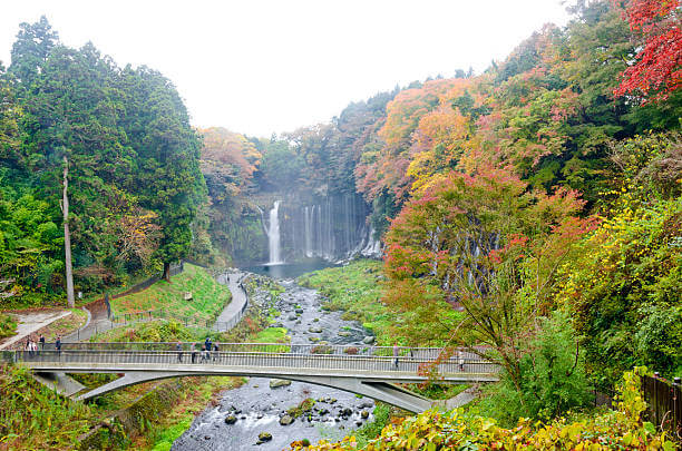 旅行好き婚活パーティー豊田