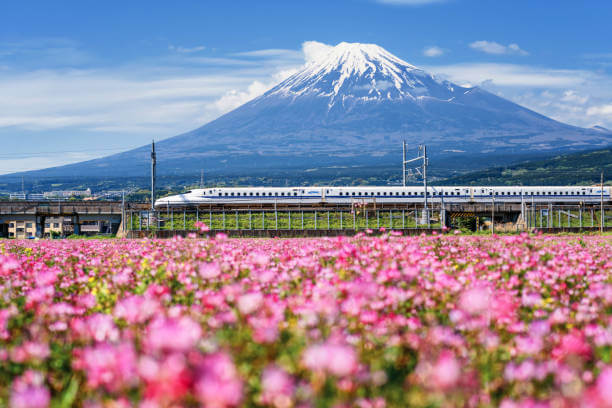 旅行好き婚活パーティー富士