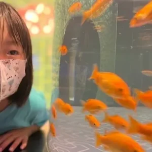 お見合い練習サービス