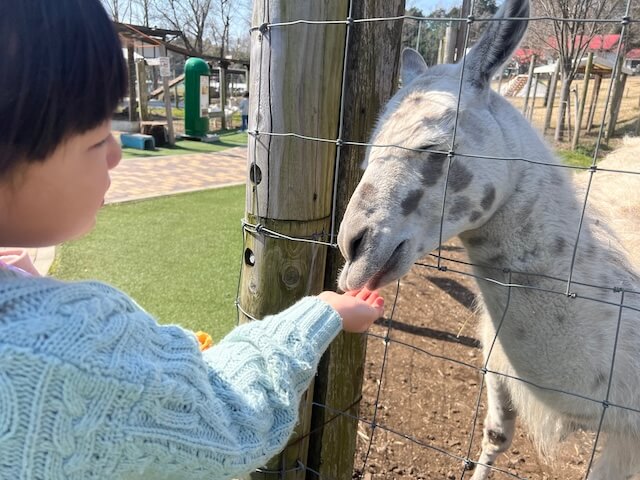 結婚相談所ラポールアンカー