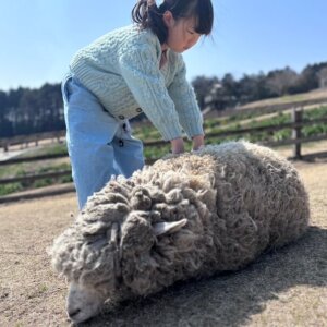 結婚相談所ラポールアンカー