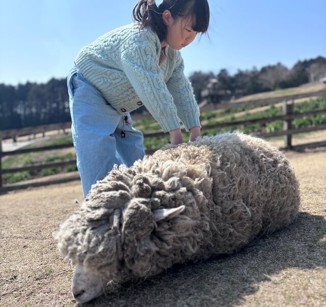 結婚相談所ラポールアンカー