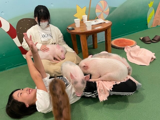 結婚相談所ラポールアンカー