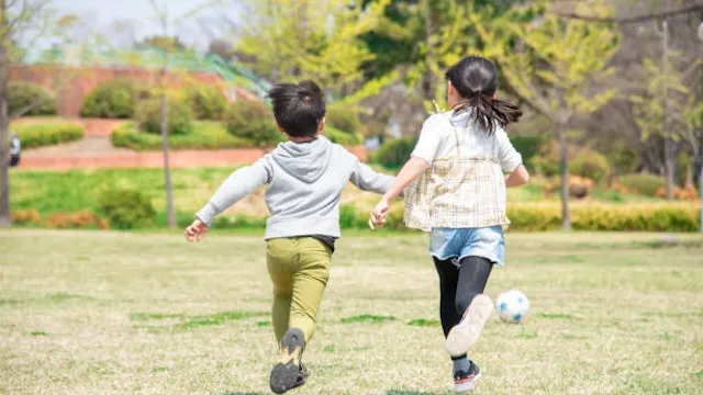茨城県は理想的な教育ができる！子育てなら茨城がおすすめの理由