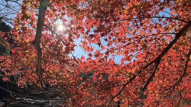 結婚相談所ラポールアンカー