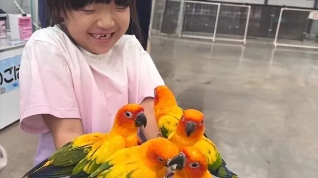 AIマッチングは理想の結婚相手が見つかる？AIに潜む最大の弱点を徹底解説