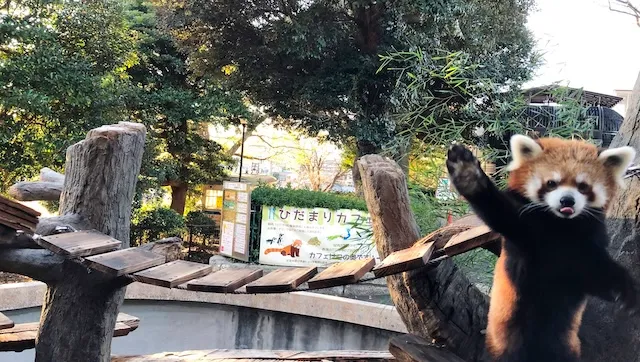 横浜のデートスポット22選！カップルで愛を深めるおすすめデート場所