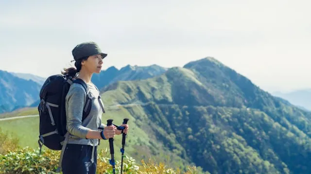 熊本市民の婚活事情と結婚観!誠実で家庭的な男女が多い?