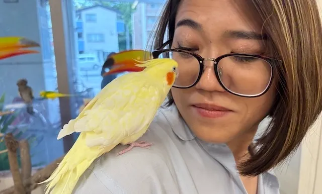 結婚相談所ラポールアンカー