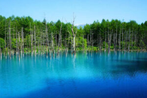 ◯市の人気デートスポット25選！カップルにおすすめの定番&穴場