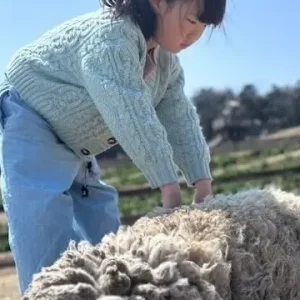 お見合いを断りづらい？お見合いの上手な断り方とマナーを徹底解説