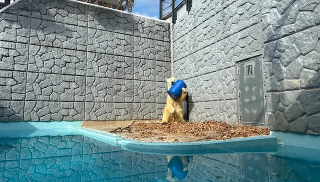 結婚相談所ラポールアンカー