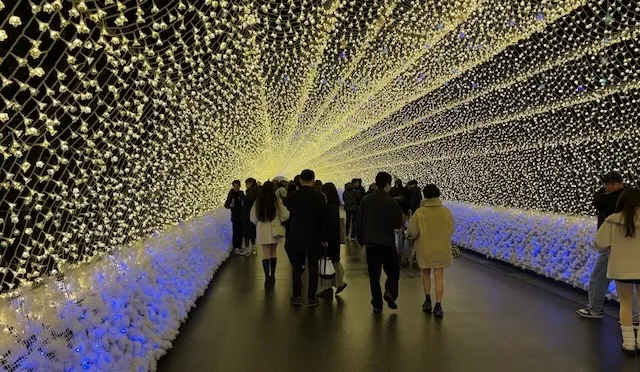 結婚相談所ラポールアンカー