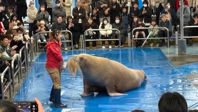 結婚相談所ラポールアンカー