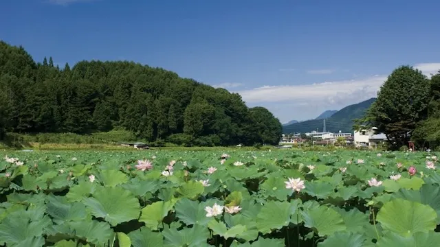 富士吉田市の人気デートスポット15選！カップルにおすすめの定番&穴場