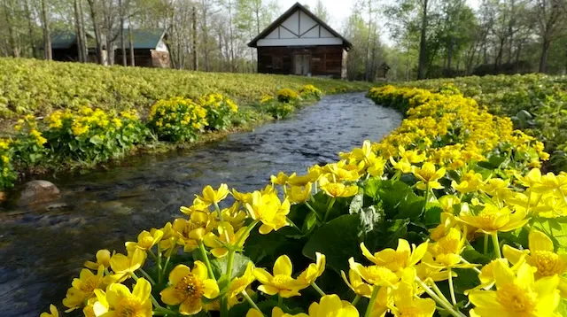 帯広市の人気デートスポット15選！カップルにおすすめの定番＆穴場