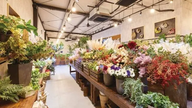 新潟市西蒲区のおすすめカフェデート18選!初デートから2回目以降も安心の目的別ガイド