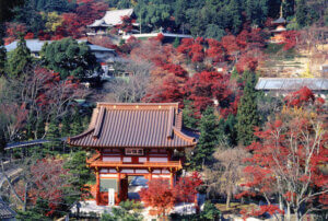 箕面市の人気デートスポット14選!カップルにおすすめの定番&穴場