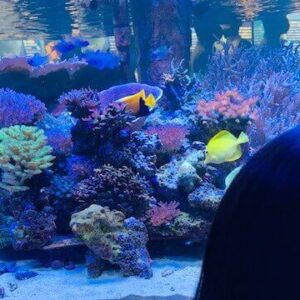 豪華客船の婚活クルーズ！船上での婚活イベントの実態は？