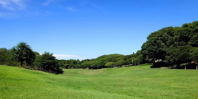 横浜デート婚活