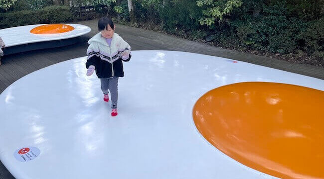 結婚相談所に登録する女性の特徴
