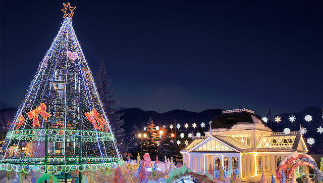 札幌夜景婚活結婚相談所