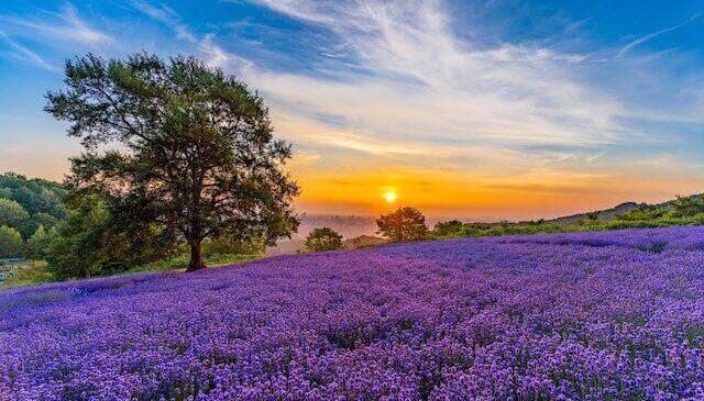 札幌夜景婚活結婚相談所