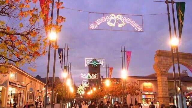 八王子婚活結婚相談所