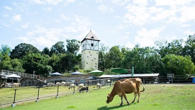 堺市の人気デートスポット！カップルにおすすめの定番&穴場
