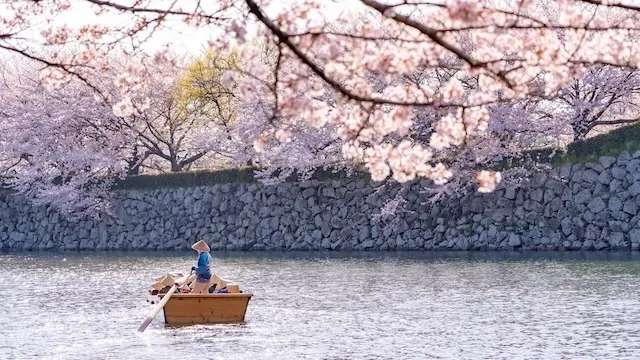 姫路市の人気デートスポット！カップルにおすすめの定番&穴場