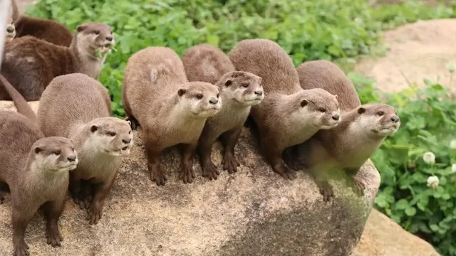 神戸デートスポットおすすめ