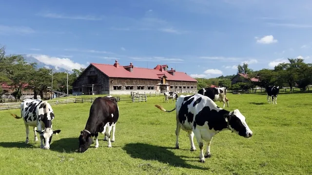 岩手県の人気デートスポット！カップルにおすすめの定番&穴場