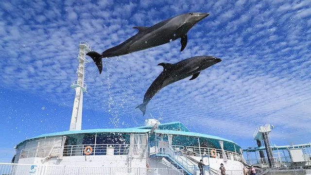 熊本県の人気デートスポット！カップルにおすすめの定番&穴場