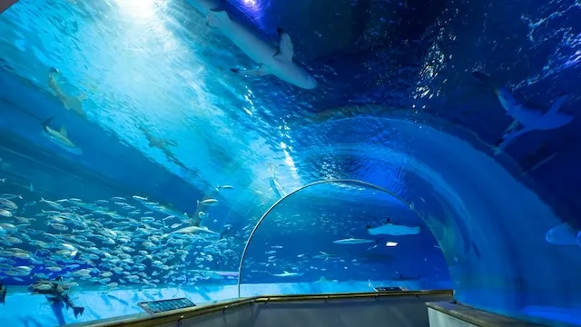 島根県の人気デートスポット76選