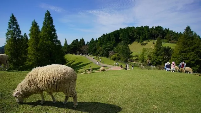 神戸デートスポットおすすめ