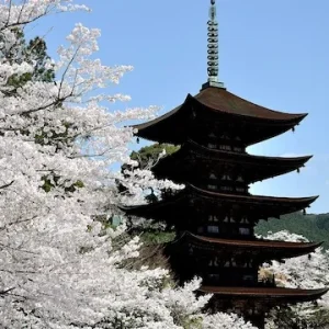 山口県の人気デートスポット！カップルにおすすめの定番&穴場