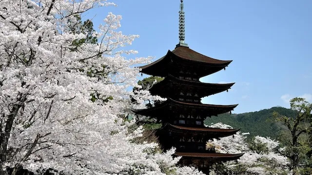 山口県の人気デートスポット！カップルにおすすめの定番&穴場